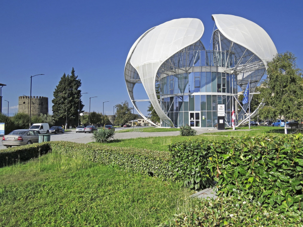 Кварели. Как делают грузинское вино и чем оно отличается от любого другого?