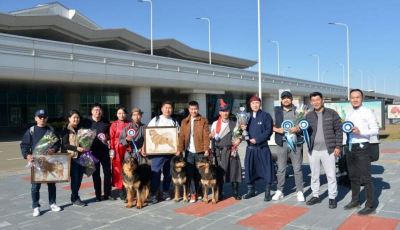 Монгольские банхары на мировой арене: путь к официальному признанию