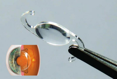 Кто расскажет историю красивее, тот и выиграет дело. Интересный случай в Томском суде